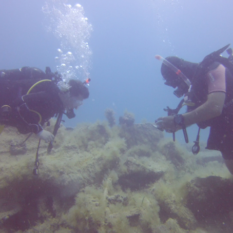 Pack Journée Plongée Djerba